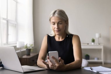 Odaklanmış iş kadını dizüstü bilgisayarlı masa başında oturuyor. İşi, telefonu elinde tutuyor, haberleri okuyor, iş başvurusunu kullanıyor, mesaj yazıyor, önemli bilgileri tarıyor, e-postayı kontrol ediyor, internette sohbet ediyor.