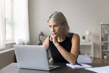 Ciddi, olgun bir iş kadını profesyonel programı öğrenir, çevrimiçi çalışır, uzaktan kumandayla iş yapar, ana ofisteki masada oturan dizüstü bilgisayara bakar. Anlayış eksikliği, yeni yazılım
