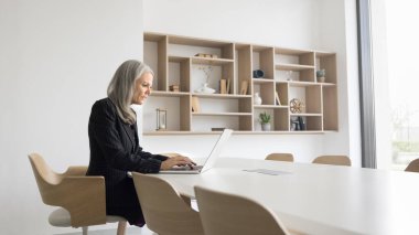 Yetişkin şirket CEO 'su kadın ofis toplantı odasında tek başına çalışıyor, dizüstü bilgisayarla yazı yazıyor, bilgisayar kullanıyor, geniş bir masada oturuyor. Sancak vuruşu