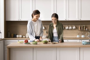 Mutlu aile yemekleri yemek mutfakta vakit geçirmek, ilgili genç kız annesine sebze salatası hazırlamada, iletişim kurmada, yemek pişirme hobisinde, sağlıklı yaşam tarzında, organik doğal ürünler kullanmada yardımcı olmak.