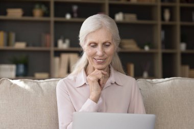 Düşünceli olgun bir kadın haberleri okur, malları seçer, online kullanım dizüstü bilgisayarı alır, evdeki koltukta oturur, eğlencenin tadını çıkarır, reklam tekliflerini gözden geçirir, elektronik ticaret sitesi üzerinden alışveriş üzerine kafa yorar.