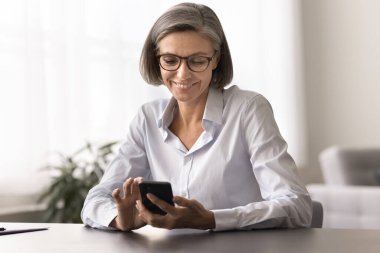 Güzel, orta yaşlı bir kadın akıllı telefonuyla masada oturuyor, iş sırasında ara veriyor, sosyal ağlara takılıyor, tatmin oluyor, rahatlıyor, mesaj gönderiyor, haber okuyor, iş arkadaşlarıyla sohbet ediyor, yeni uygulamalar öğreniyor.