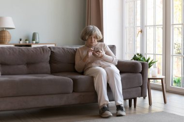 Çevrimiçi hizmet kullanan 80 'lerin yaşlı kadını, akıllı telefonda tıbbi uygulama, kanepede dinlenme, dijital cihazı tutma, internet uygulamasını öğrenme, dokunmatik ekran, alışveriş, arama yapma