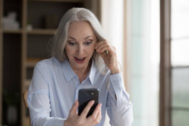 Şaşırmış yaşlı kadın cep telefonuna bakıyor, harika haberler okuyor, çok şaşırmış görünüyor, inanılmaz ticari teklif alıyor, yeni yazılım, online bahis anı zafer, iş büyümesi, avans, fırsat konsepti