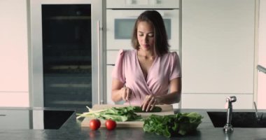 Ciddi, güzel, genç Asyalı bir kız akşam yemeği için doğal malzemelerden organik yemek hazırlıyor salata için taze salatalık dilimliyor, güvertede yeşil sebzeler doğruyor, sağlıklı beslenmeye özen gösteriyor.