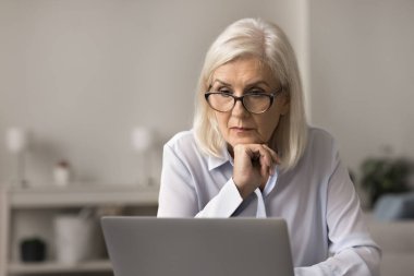 İlgili yaşlı iş kadını e-posta okur, işle ilgili güncellemeler ya da haberler okur, yeni yazılım ya da program öğrenir, iş yerinde dizüstü bilgisayarla oturur, ciddi ya da endişeli görünür, sorunla ya da meydan okumayla yüzleşir