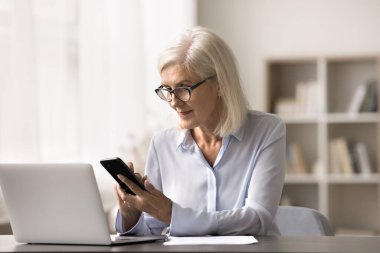 Çağrı yapan çekici orta yaşlı iş kadını laptopla, arama bilgileriyle, kablosuz internete göz gezdirme, e-posta yazma, modern aygıtlarla işle ilgili konuları çözme.