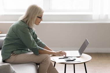 Ciddi, olgun bir kadın, dizüstü bilgisayarla faturaları kontrol ederek, kişisel bütçeyi yöneterek, değerleri gözden geçirerek, kişisel tasarruflarını, gelirlerini ve evdeki giderlerini kontrol ederek masada oturuyor. Mali, emekli maaşı, para