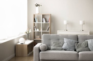 Modern İskandinav iç dizaynı. İçinde insan olmayan rahat bir oturma odası. Kırpılmış gri kanepe, pencereden gün ışığı, soluk dekorasyon, raflar, arka planda beyaz duvar