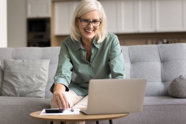 Gülümseyen olgun bir emekli kadın, mali durumları kontrol eder, kişisel bütçeyi yönetir, e-banka uygulaması ile faturaları öder, emeklilik maaşını arttırmaktan tatmin olur, ev ödemelerini yapmaya yetecek kadar para, finansal hedefe ulaşır.