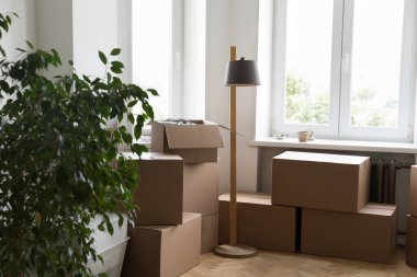 Ev sahiplerinin kişisel eşyalarıyla dolu karton kutularla dolu rahat bir oturma odası, yemyeşil saksı bitkisi, içinde insan olmayan bir lamba. Banka kredisi, taşınma, ulaşım hizmetleri kavramı