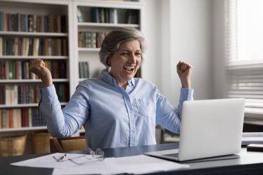 Bilgisayara bakan mutlu orta yaşlı iş kadını iyi haberler okuyor. Heyecanlı hissediyor, online projeyi başarıyor. Yumruklarını sıkmış gibi görünüyor, bahis zaferini, kariyer gelişimini ve konseptini kutluyor.