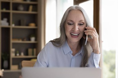 Mutlu 50 'lerin başarılı iş kadını dizüstü bilgisayarında cep telefonuyla konuşuyor, danışmanlık için internet uygulamasını kullanıyor, müşteriyle proje üzerinde pazarlık yapıyor, gülümsüyor, gülüyor. İletişim konsepti