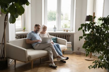 Neşeli orta yaşlı evli çift dizüstü bilgisayarda online uygulama kullanıyor, birlikte film izliyorlar, rahat oturma odasındaki kanepede dinleniyorlar, ev bitkileriyle birlikte. Gizli çekim.