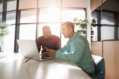 Yoğun genç erkek iş ortakları dizüstü bilgisayardan online içeriği izliyor, birlikte bilgisayar kullanıyor, internet projesi üzerinde çalışıyor, toplantı masasında oturuyor.