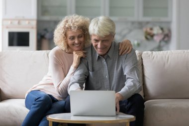 Mutlu yaşlı çift kanepeye oturup dizüstü bilgisayarla ilgilenir alışverişi tartışır, hizmetler yoluyla sipariş verir rahat bir hayat için modern teknolojinin tadını çıkarırlar. Teknoloji kullanan 65 'lerin boş zamanlarında...