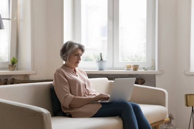 Evde dizüstü bilgisayar kullanan, kanepede oturan, daktilo yazan, online proje üzerinde çalışan kıdemli serbest çalışan bir iş kadını. İnternet uygulaması kullanan, internet mağazalarından alışveriş yapan olgun gri saçlı bir kadın.