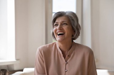Neşeli, heyecanlı olgun bir kadın başka tarafa bakıyor, gülüyor, evdeki kanepede oturuyor, seviniyor, iyi haberlere seviniyor, başarıya seviniyor. Gri saçlı 60 'lı yaşlardaki kadın mutlu oluyor.