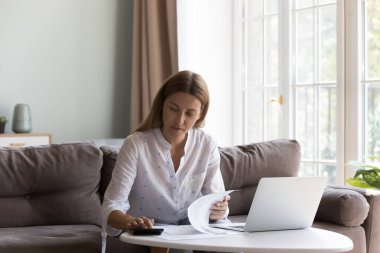 Çekici bir milenyum kadını kanepeye oturur, evrak işleri yapar, vergilerini öder ve elektronik banka uygulaması ile internet faturalarını öder, aile bütçesini yönetir, yatırımları planlar odaklanmış görünür. Mali konsept