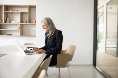 İş kadını gülümsemesi, toplantı odasında dizüstü bilgisayarla otururken, e-posta yazarken, işle ilgili konuları uzaktan çözerken, tatmin olurken, işten olumlu sonuç alırken, satış artışı ve gelir artışı elde ederken,