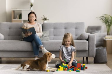 Odaklanmış büyük anne en sevdiği kitabı okuyor, tatlı torunu sevimli av köpeğiyle yerde oturmuş renkli bloklar oynuyor, aile hafta sonu boş vakitlerini modern evde kaygısız geçiriyor. Oyun zamanı, eğlence zamanı.