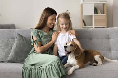 Sevimli küçük bir çocuk, kanepede sevgili genç annesiyle birlikte oturan av köpeğini okşuyor, oturma odasında kaygısızca vakit geçiriyor, iletişimin tadını çıkarıyor, bağ kurma, arkadaşlık ve bağ kurma anlarının tadını çıkarıyor.