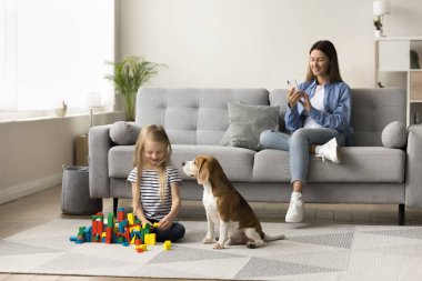 Genç ve çekici bir kadın koltukta rahat bir şekilde cep telefonu kullanırken kızı sıcak zeminde sevimli, sakin ve itaatkar bir av köpeğiyle renkli bloklar oynuyor. Modern evde aile dinlenmesi ve boş zaman.