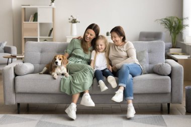 Kanepede köpekleri dinlenen neşeli, çoklu nesil bir aile. Güzel bir kadın, anne ve küçük kızıyla vakit geçirir, av köpeğini okşar, evde keyifli bir hafta sonu geçirir.