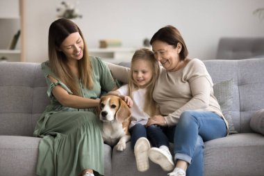 Üç nesildir kadınlar evlerinde vakit geçiriyorlar. Sevimli anaokulu öğrencisi kız, sevimli av köpeğini okşuyor. Genç anne ve büyük anneyle rahat koltukta dinleniyor. Çok nesilli aile eğlencesi.