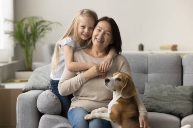 Sarışın, sevimli bir kız kanepeye oturmuş kameraya bakıyor ve modern oturma odasında av köpeğiyle aile resmine poz veriyor. Hassas anlar, iç açıcı bir sahne, portre.