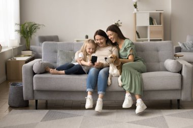 Güzel çoklu nesil kadınlar, av köpekli sevgi dolu aile rahat koltukta dinleniyor akıllı telefon kullanıyor, gülümsüyor, video görüşmesi yapıyor, mobil uygulamanın keyfini çıkarıyor, hafta sonları yenilikçi modern teknoloji kullanıyor.
