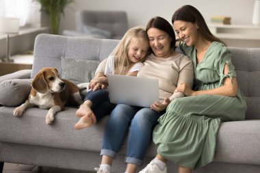 Oldukça fazla nesilden gelen akrabalar, kadınlar hafta sonu boş zamanlarını köpekleriyle birlikte modern dizüstü bilgisayar kullanarak, evde e-alışveriş yaparak, dijital online abonelik platformlarıyla film izleyerek geçiriyorlar. Aile eğlencesi
