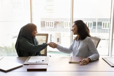 İki çok kültürlü iş kadını, müşteri ve yönetici ofiste oturmuş gülümseyen ve tokalaşan, iş anlaşması veya sözleşme jesti, başarılı bir pazarlığın kapanışı. Güvenin sağlanması