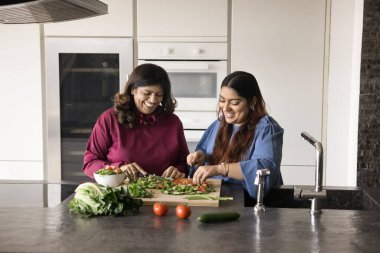 İki Hintli kadın modern mutfakta birlikte taze sebzeler hazırlıyor, gülümsüyor, domates kesiyor, salatalık ve salatalık yiyor. Sağlıklı beslenme, ev yemeği, aile bağları, zamansız değerler.
