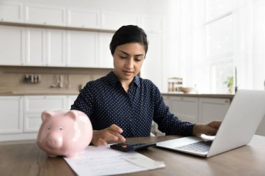 Para biriktiriyorum. Odaklanmış genç bayan ev hanımı ev mutfağındaki aile finansmanını yönetir. Satın alma planının faturalarını hesaplar. Bütçe ödeme hizmetleri online olarak rasyonel ekonomi bilgisayarından peşin alınır.