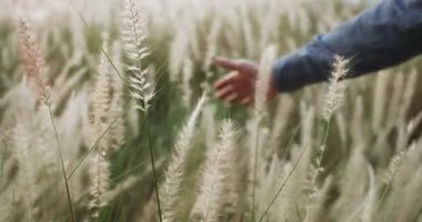 Son sınıf öğrencisinin eli kapalıyken çayırda yürürken vahşi camlara dokunur güneşli günün ve doğayla bağlantının keyfini çıkarırsın. Nostalji, zamanın geçişi, şimdiki anın keyfi ve hayatın basit zevkleri.