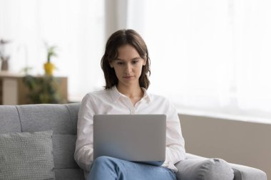 Ciddi genç girişimci kadın evde çalışıyor, dizüstü bilgisayarda yazıyor, kanepede oturuyor, ekrana bakıyor. Serbest çalışan, internet teknolojisi kullanan iş kadını, çevrimiçi profesyonel uygulama