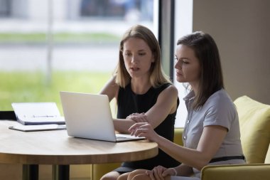 Birlikte çalışan iki kadın meslektaşı dizüstü bilgisayara bakıyor, proje hakkında konuşuyor, düşünüyor, araştırıyor, iş görüşmelerini modern ofiste yapıyor. Ekip çalışması, teknoloji kullanarak iş akışı, yeni yazılım öğrenme