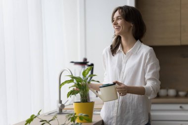 Neşeli, hayalperest bahçıvan kız evde saksı yetiştiriyor, konserve sulıyor, yeşil yapraklara dokunuyor, pencereye bakıyor, gülümsüyor, gülüyor, eğleniyor, ev aktivitelerinden keyif alıyor.
