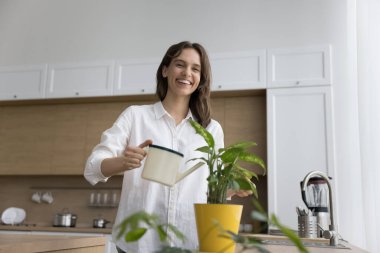 Neşeli çiçekçi kız saksıda çiçeklerle ilgileniyor, bastondan çiçekleri suluyor, mutfak dekorasyonunun keyfini çıkarıyor, gülümsüyor, gülüyor, kameraya bakıyor. Kadın portresi