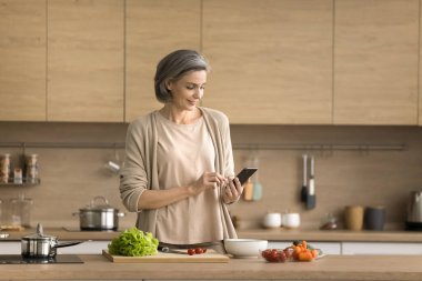 Kendine güvenen farklı yaş grubu dizüstü bilgisayardan yazılım ürünü sunumu izliyor, video görüşmeleri yapıyor, masada oturuyor, ekrana bakıyor, gülümsüyor, gülüyor.