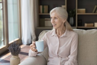 Bir fincan çay rüyası. Huzurlu portre güzel yaşlı kadın emekliler rahat rahat evdeki kanepede sıcak içecekle bardağı tut rüya gibi gülümsemeyle yan yana bak huzur dolu anın tadını çıkar ev konforu