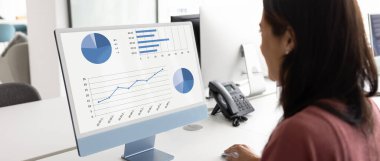 İş analizlerini inceleyen profesyonel bir kadın, turta grafikleri ve diyagramları olan performans verileri, satışları ve gelirleri takip eden, bilgisayar ekranında gösterilen, omzunun üstünden bakan, yatay görüntü