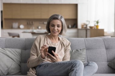 Olgun, gri saçlı, internet iletişiminden zevk alan bir kadın, evdeki internet teknolojisi, koltukta dinlenmek, cep telefonu tutmak, alışveriş için başvuru, mesajlaşma