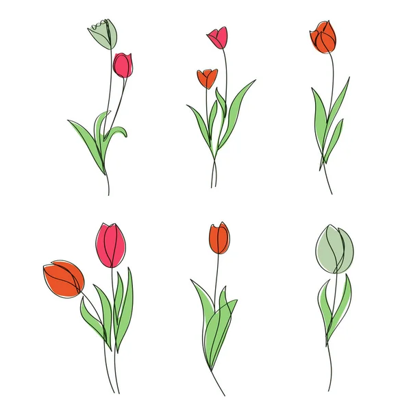 Main Dessiné Lumineux Fleurs Tulipe Élégant Une Ligne Art — Image vectorielle