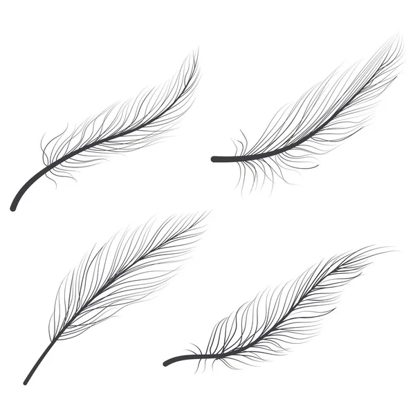 Hand Drawn Bird Feathers Line Art Doodle Artwork — Stock Vector