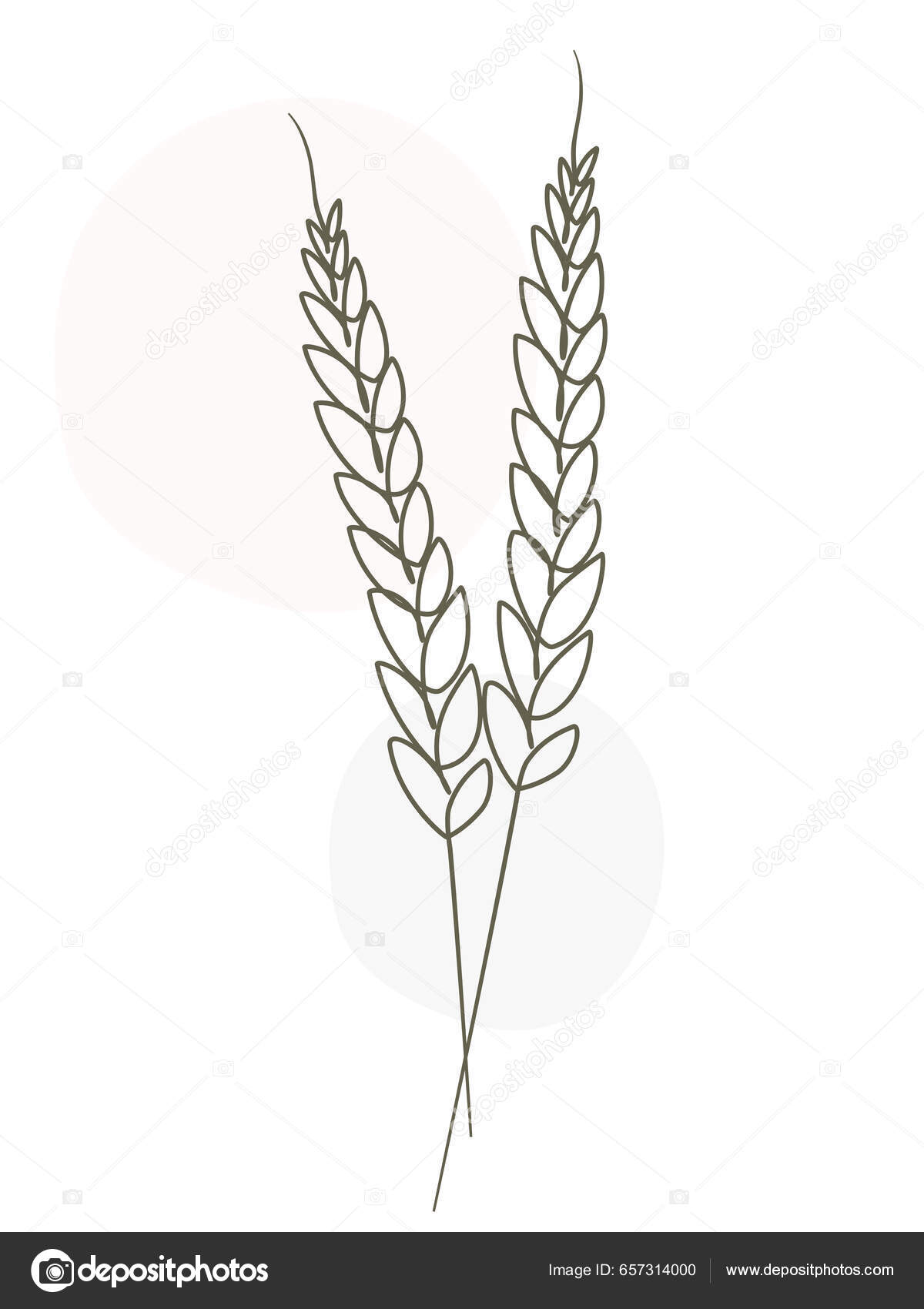 Single continuous line drawing of whole healthy organic wheat grain for  farm logo identity. Fresh staple food concept for breakfast cereal icon.  Modern one line graphic draw design vector illustration 20380841 Vector