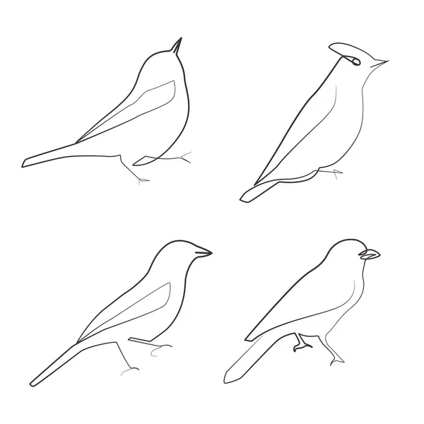 Ptáci Lineární Kreslení Jednu Čáru — Stockový vektor
