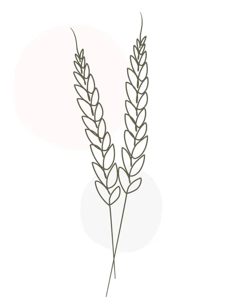 Пшеничный Сноп Продолжает Линию Рисунок Минималистский Рисунок — стоковый вектор