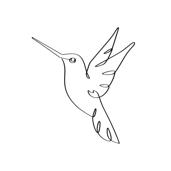 Desenho Contínuo Uma Linha Cantarolar Colibri Pássaro Pássaro Abstrato Voando —  Vetores de Stock